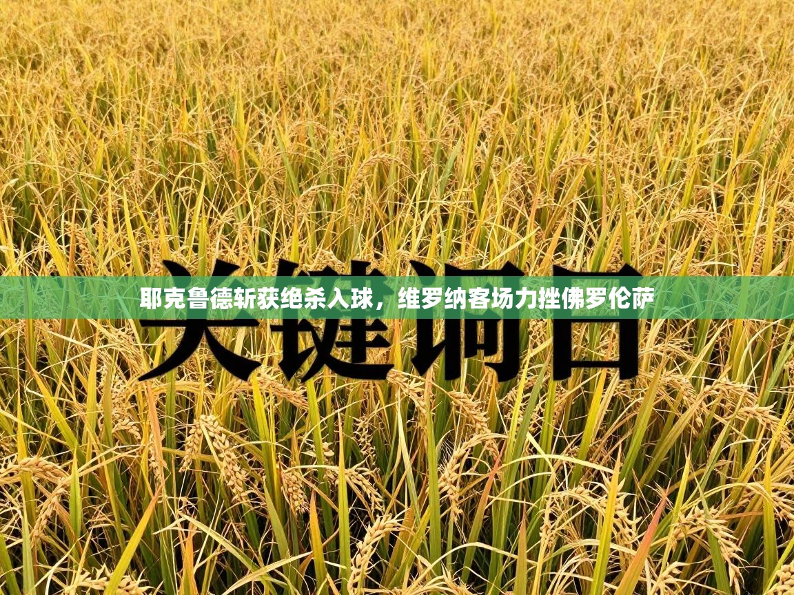 耶克鲁德斩获绝杀入球，维罗纳客场力挫佛罗伦萨  第2张