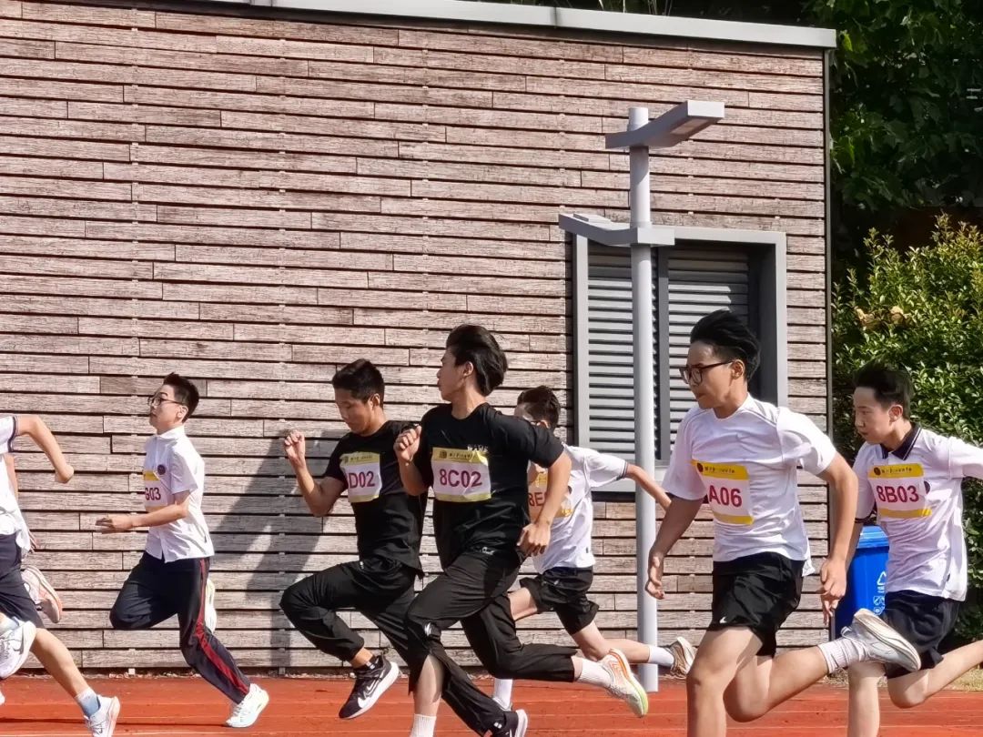 九游体育网页版登录入口-球员在比赛中完美诠释了技术与团队精神