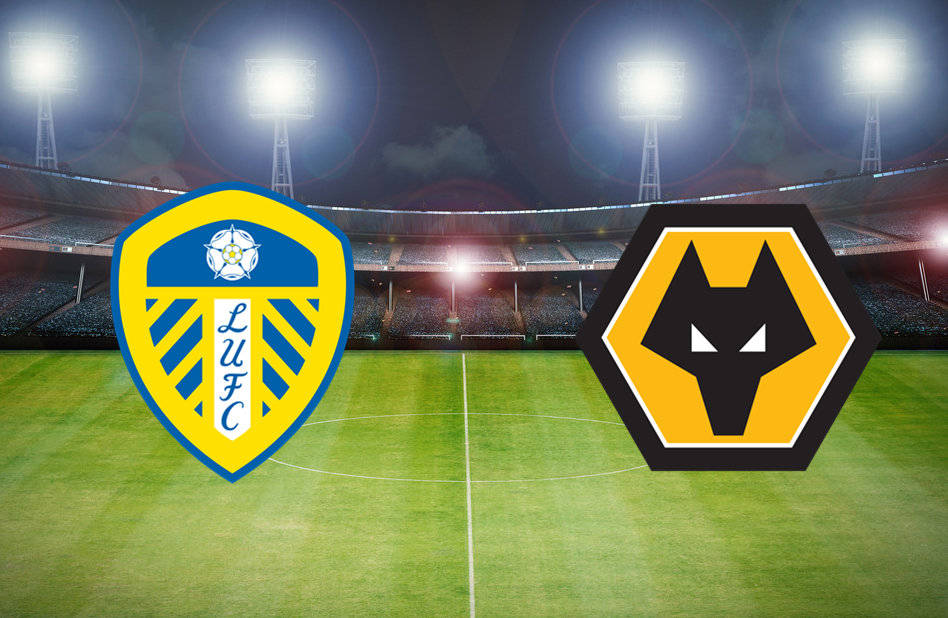 九游体育官网-北京雄狮主场告捷，继续保持不败战绩的简单介绍