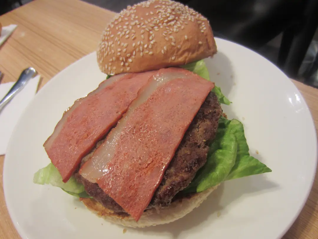 汉堡主场失利，势如暮云风卷残烟的简单介绍